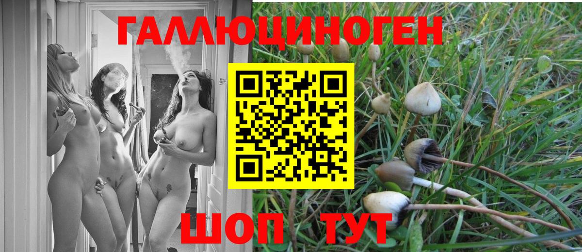 Псилоцибиновые грибы Psilocybe  Вход с VPN  Сыктывкар 
